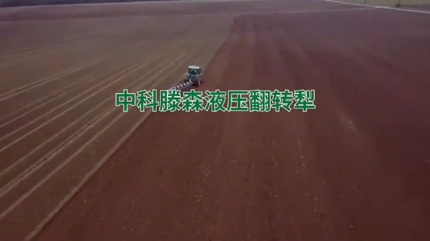 视频标题