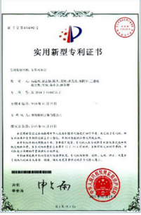 Patent Certificate